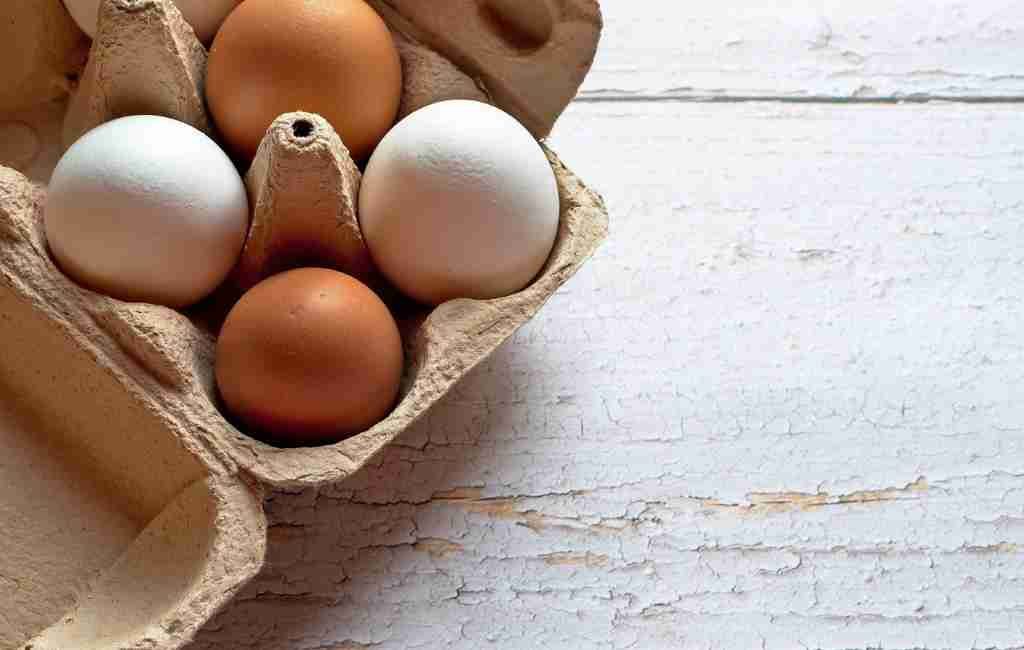 SOSPECHA DE FRAUDE: Incautan 750.000 euros en efectivo a comerciante de huevos en los Países Bajos