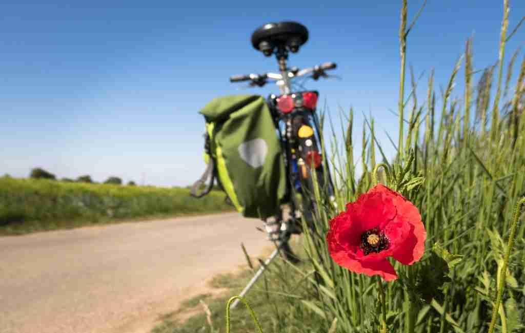 VIAJAR: La ruta ciclista EuroVelo 5 – Via Romea (Francigena) fue inaugurada en Bruselas
