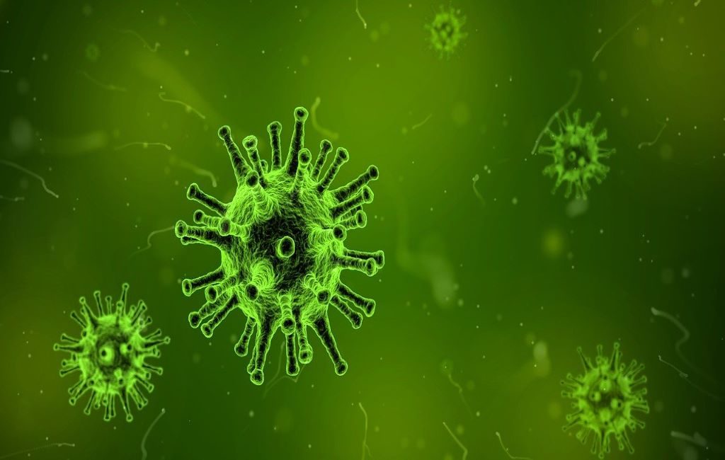 Descubren en Bélgica, una nueva variante de coronavirus.